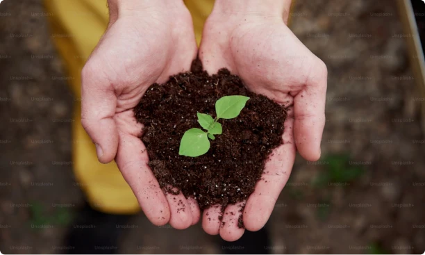 Itadil e o meio ambiente